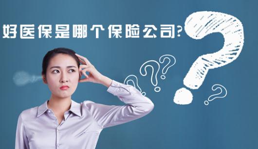 好医保是哪个保险公司?能和医保一起用吗?到期退本金吗?