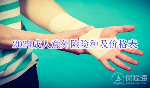 2024成人意外险险种及价格表_2024成人意外险产品哪个最好