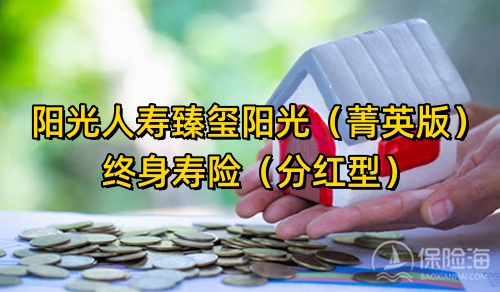 阳光人寿臻玺阳光(菁英版)终身寿险(分红型)怎么样?有什么特色?