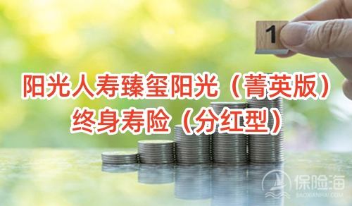 阳光人寿臻玺阳光(菁英版)终身寿险(分红型)怎么样?有什么特色?