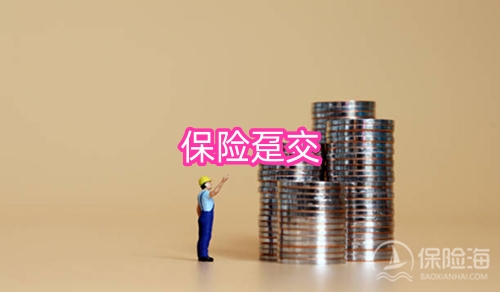 保险趸交是什么意思_保险趸交与年交的区别