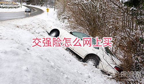 交强险怎么网上买?网上买交强险有标贴吗?
